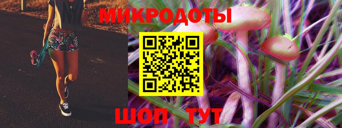 Галлюциногенные грибы Psilocybe Самара